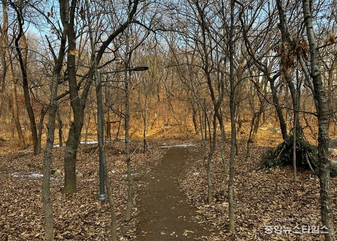 풀무골공원 CCTV 설치 대상지 현장사진