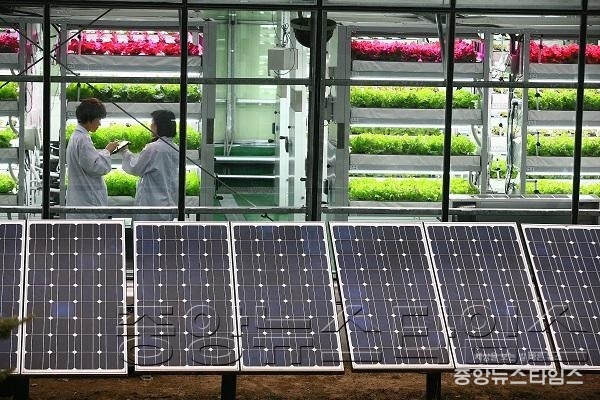 5. 스마트팜농장.JPG