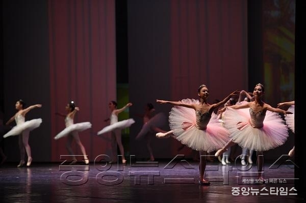 여름밤 야외에서 만나는 발레의 향연 _2017 수원 발레축제__5.JPG