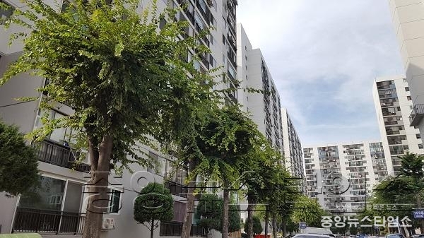 수원시, 민간 분야 조경관리를 위한 7대 정책과제 추진_1)나무 형태를 고려하지 않은 가지치기로 조경수 가치 하락.jpg