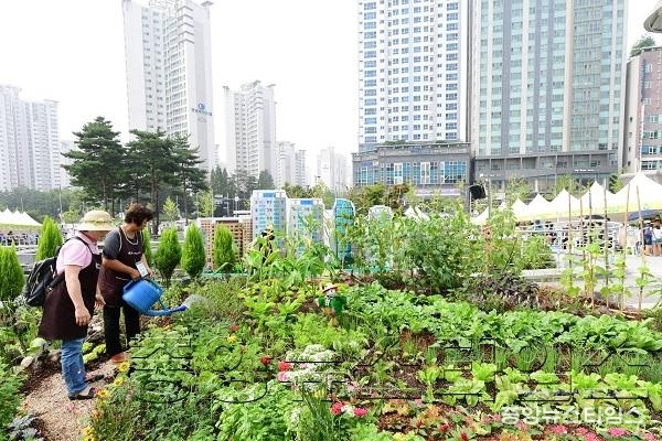 1-5. 제3회 화성도시농업박람회 전경.JPG