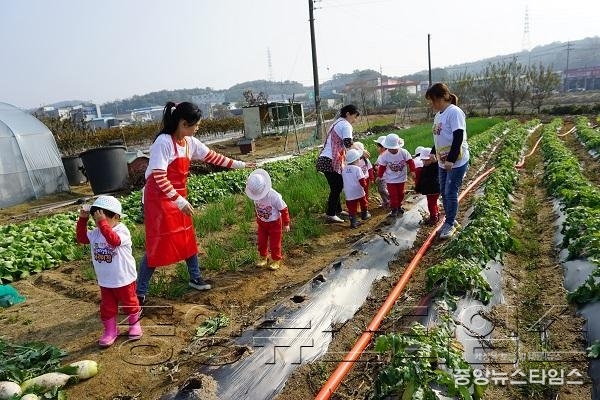 2-1. 창의지성형 어린이집 자연친화(텃밭체험) 프로그램.JPG