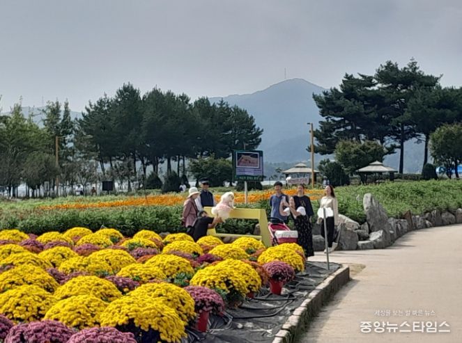 가평군, 자라섬 가을 꽃 축제 한 주간 연장한다