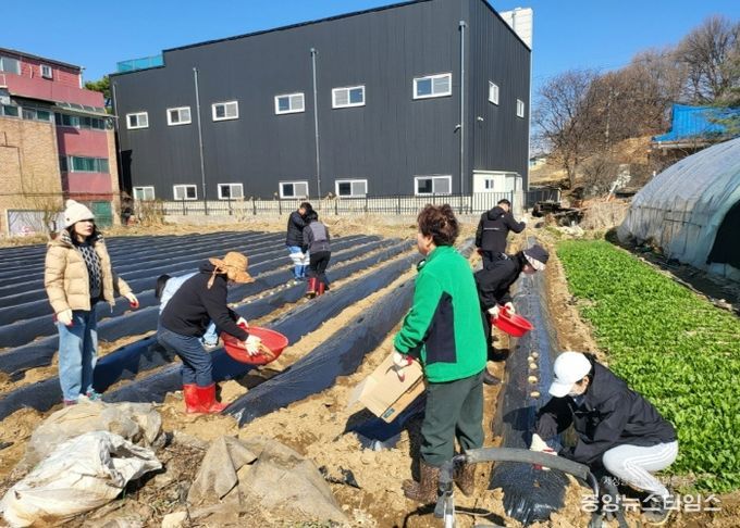 고양시 덕이동 체육회, 지역사회 나눔 실천 ‘감자심기’ 실시