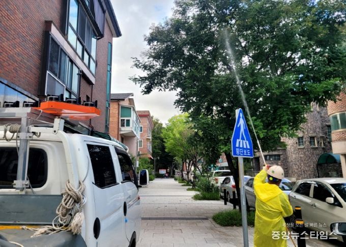 고양시 일산서구, 수목 병해충 방제 총력