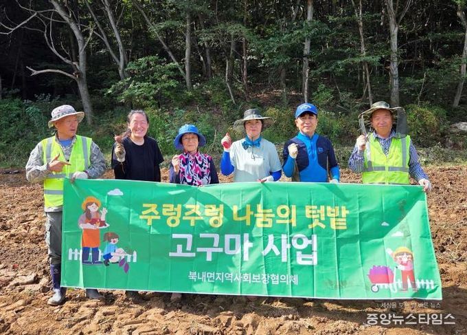 여주시 북내면지역사회보장협의체, '주렁주렁 나눔의 텃밭 고구마' 사업 수확