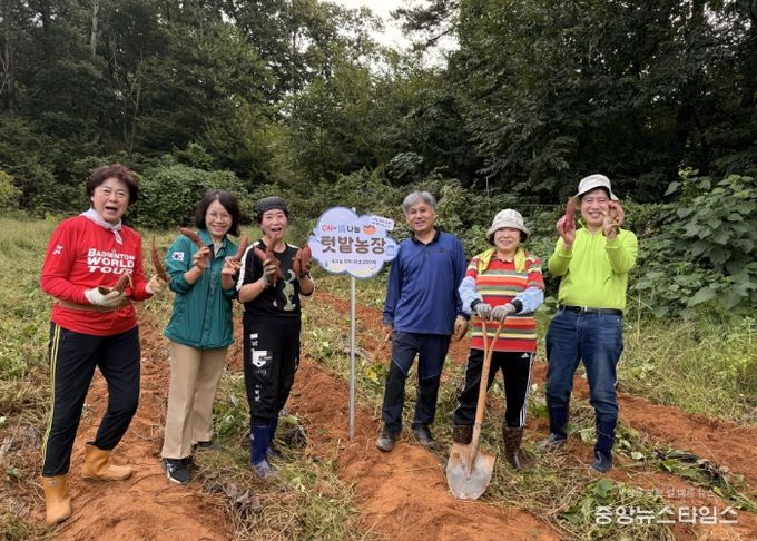 고양시 주교동 지역사회보장협의체, 고구마 수확해 나눔 실천