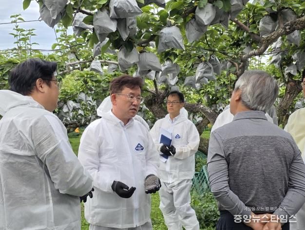 농촌진흥청장, 안성 배 생육 및 출하 현장점검 실시