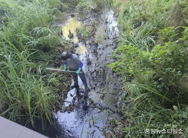 시흥시, 추석 연휴 환경오염 예방 특별환경감시반 운영