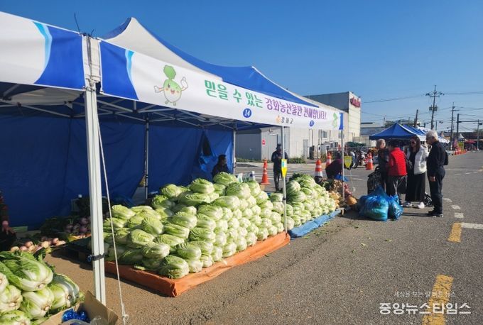 강화군, 지역 농가와 함께하는 김장시장 운영… 이달 28일까지 판매자 모집