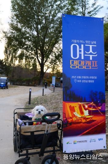 여주세종문화관광재단, 반려동물과 함께하는 1박 2일 ‘댕댕캠프’ 운영