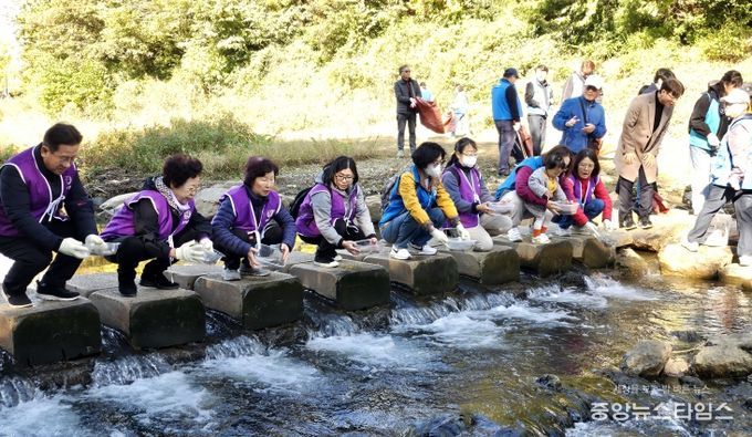 부평구, 굴포천 자연형하천 대청소 행사 진행