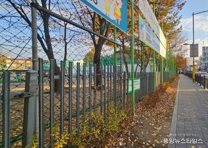 남양주시 진건읍, 진건초 통학로 수목 교체 마무리… 보행 안전·거리 미관 향상