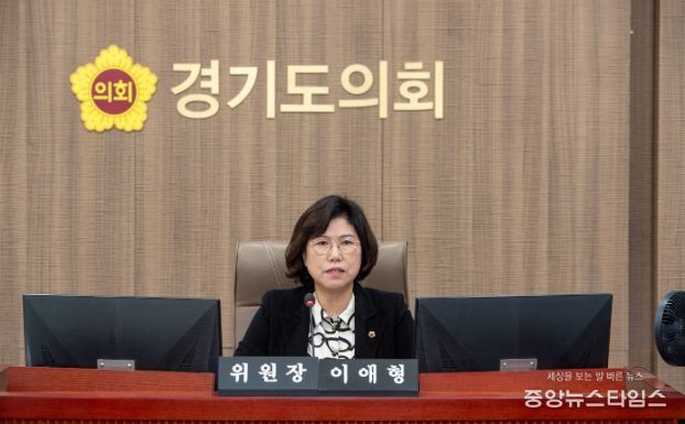 경기도의회 이애형 의원