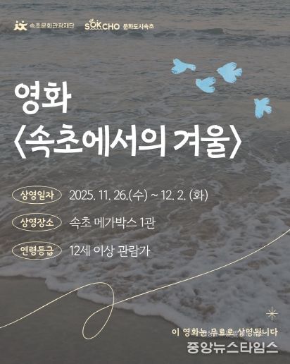속초에서의 겨울 카드뉴스