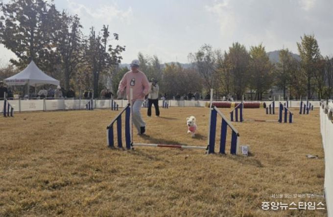 여주 강천섬 반려동반 힐링 프로그램, 반려가족 큰 호응 속 성공적 운영