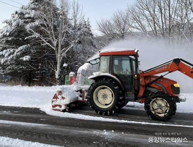 삼척시 제설 사진