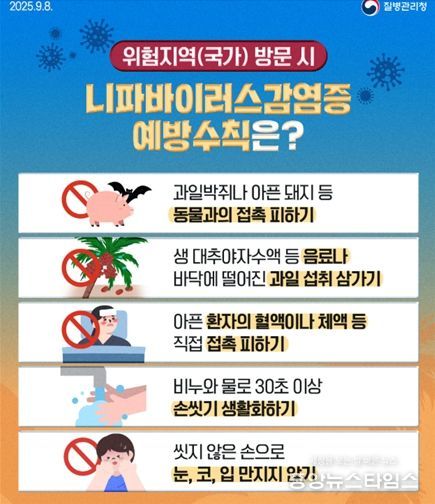 니파바이러스 예방수칙 질병청 카드뉴스
