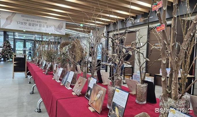 평택시 배다리도서관, 생태 전시회 '겨울 숲의 비밀을 엿보다' 운영