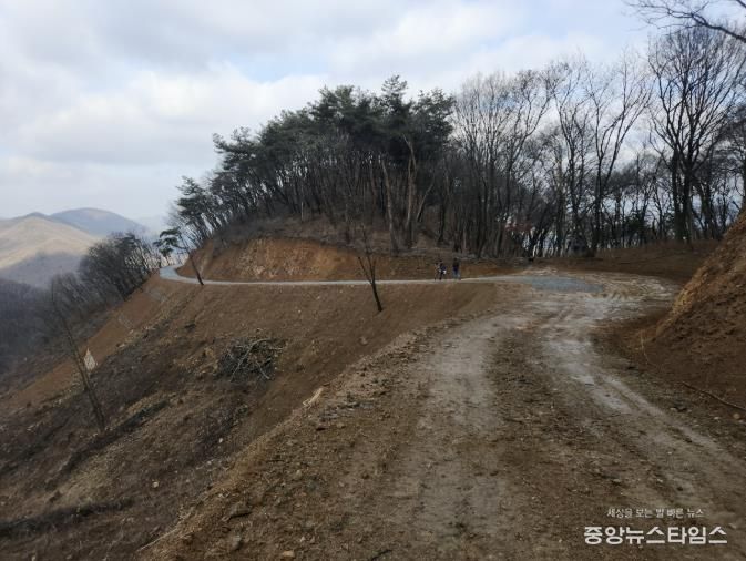 용인특례시가 처인구 원삼면 학일리 일원에 조성한 간선임도