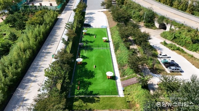 동해시, 반려동물 놀이터