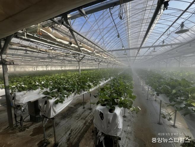 광주시, 선택형 맞춤 농정사업 추진…명품 농산물 육성 본격화