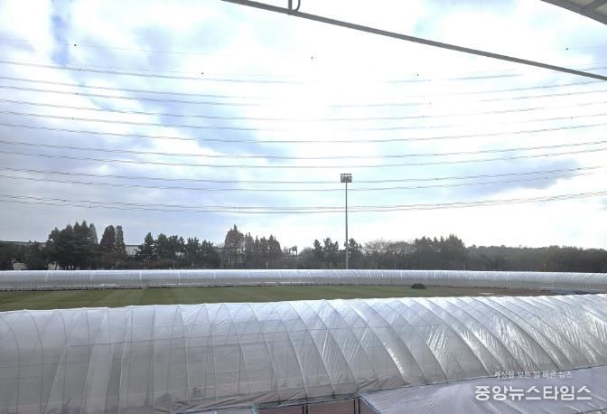 동절기 육상경기장 비닐온실 트랙 시민 개방시간 확대