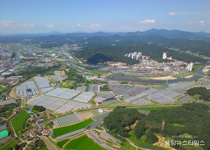 원당화훼단지 전경