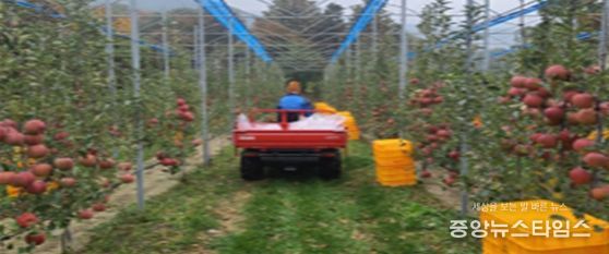 평면형 과원 전경