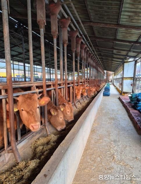 안성시, 저탄소 농업프로그램(축산분야) 시범사업 추진