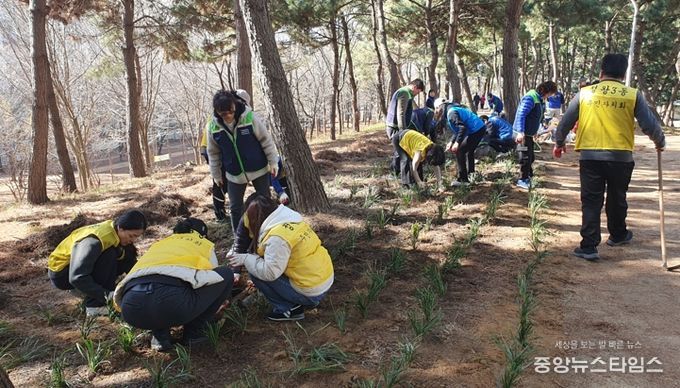 정왕3동, 손길마다 꽃피는 ‘다정한 마을 공동체’ 가꾸기 앞장