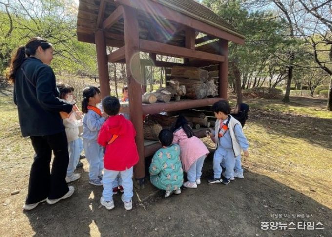 유아숲 교육 프로그램