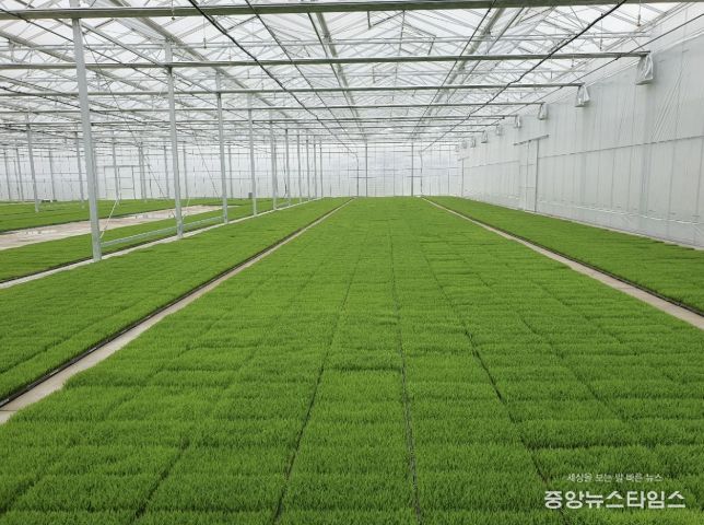 고품질 여주쌀 생산을 위한 볍씨소독 및 적기 못자리 설치