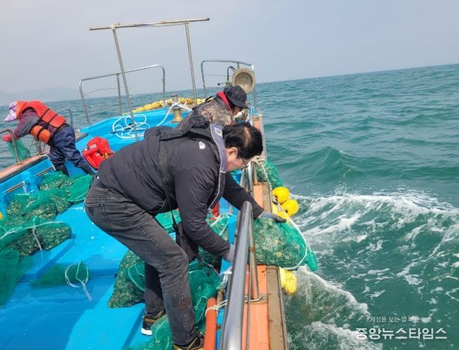 수산자원 회복 위해 ‘전복 종자’ 19만 마리 방류