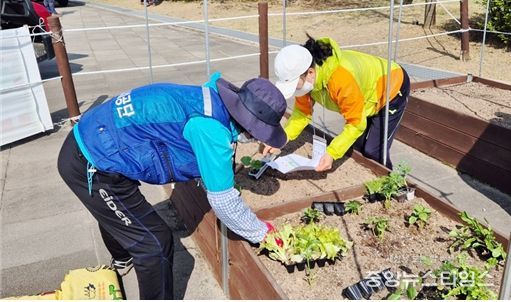 인천시설공단은 시민들이 직접 작물을 재배하며 이웃과 정을 나눌 수 있는 「2026년 아시아드 休 힐링 커뮤니티 & 세대공감 도시텃밭」의 운영을 25일부터 시작한다.